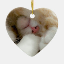 Sleepy Kitty Christmas Ornaments