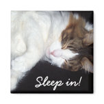 Sleepy kitty magnet