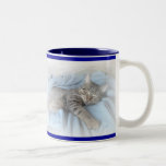 Sleepy Kitty Mugs