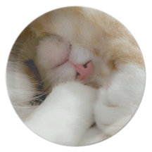 Sleepy Kitty Plate