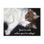 Sleepy kitty postcard