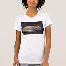 Sleepy Kitty Shirts