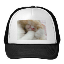 Sleepy Kitty Trucker Hat