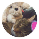 Sleepy kitty Valentine sticker