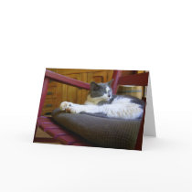 Sleepy Miss Biscuit / Birthday Greeting Card