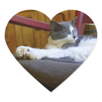 Sleepy Miss Biscuit / Heart Sticker
