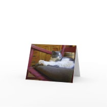 Sleepy Miss Biscuit / Notecard