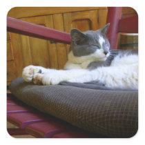 Sleepy Miss Biscuit / Square Sticker