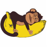 Sleepy Monkey photo sculptures