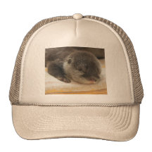 Sleepy Otter Mesh Hats