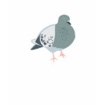 Sleepy Pigeon T Shirt