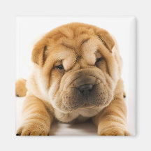 Sleepy Pup Magnets