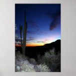 Sleepy Sahuaro Print