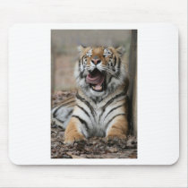 Sleepy Tiger Mouse Pad
