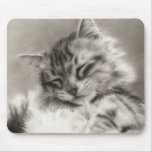 Sleepyhead Maine Coon Mousepad