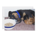 sleepyhead rottweiler invitations