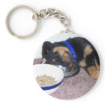 sleepyhead rottweiler. keychains
