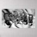 sleepyhead rottweiler puppies posters