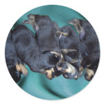 sleepyhead rottweiler puppies stickers