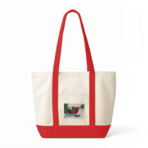 Sleigh ACEO Bag