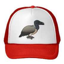 Slender-billed Vulture Hat