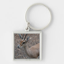 Slender Horned Gazelle Keychain