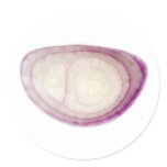 Slice of shallot