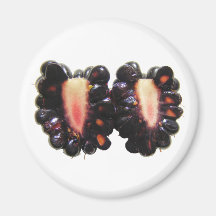 Sliced Blackberry ~ magnet
