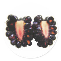 Sliced Blackberry ~ sticker