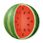 SLICED WATERMELON magnets