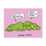 Slime Mould Postcard