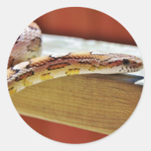 Slithering Red Corn Snake Sticker