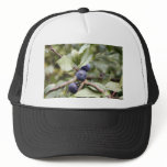 Sloe Berries hats