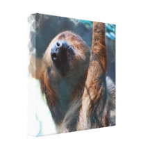 Sloth Face Canvas Print