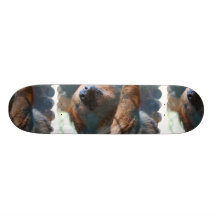 Sloth Face  Skateboard