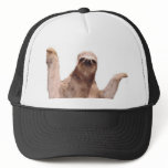 sloth hat