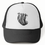 Sloth hats