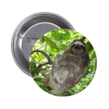 Sloth in Tree Button