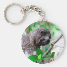 Sloth in tree Nicaragua Key Chains