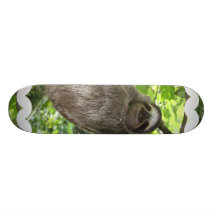 Sloth in Tree Skateboard