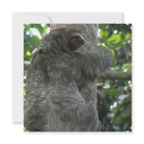 Sloth Invitations