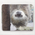 Sloth Mousepad