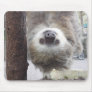 Sloth Mousepad