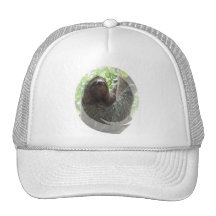 Sloth Photo Design Baseball Hat