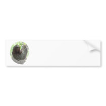 Sloth Photo Design Bumper Sticker