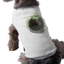 Sloth Photo Design Dog Shirt