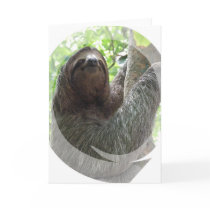 Sloth Photo Design Greeting Card