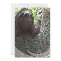 Sloth Photo Design Invitation