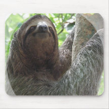 Sloth Photo Design Mouse Pad