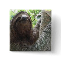 Sloth Photo Design Square Pin